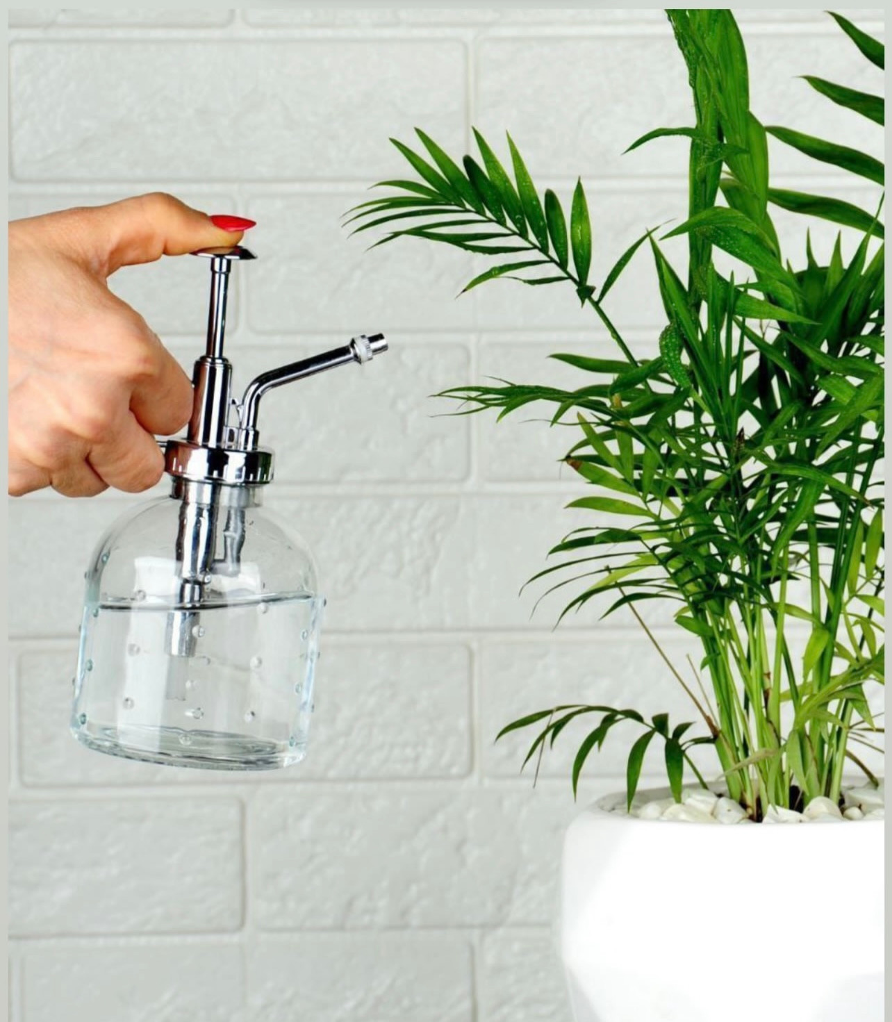 خرید انلاین مه پاش